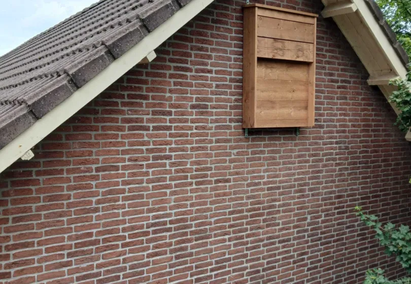 Vleermuiskast